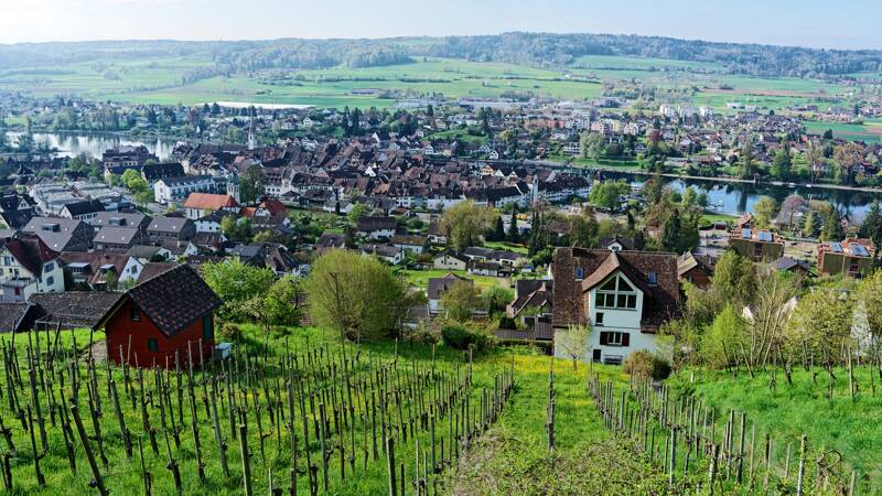260416-rundwanderung-stein-am-rhein-01759x_60x_61x