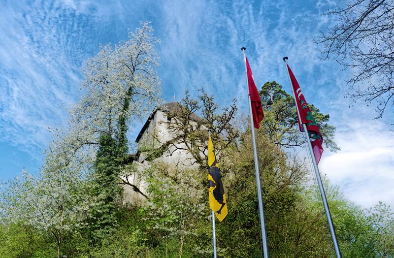260416-rundwanderung-stein-am-rhein-01762x_3x_4x