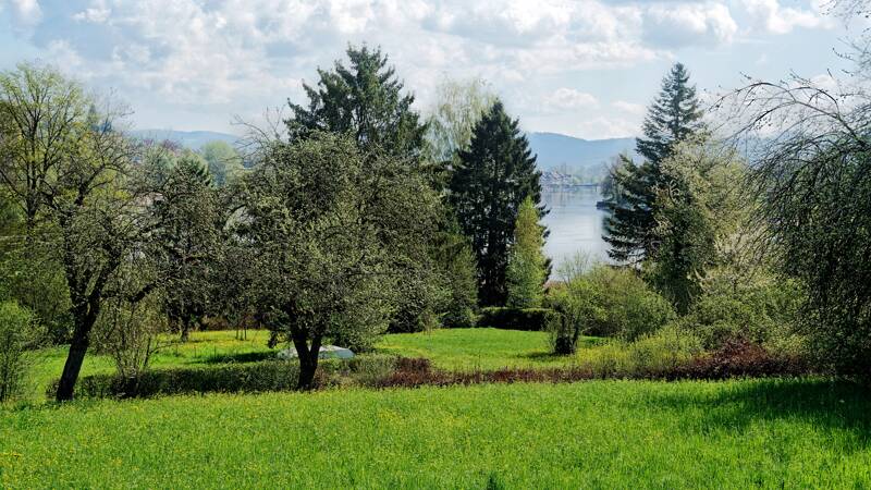260416-rundwanderung-stein-am-rhein-01795x_6x_7x