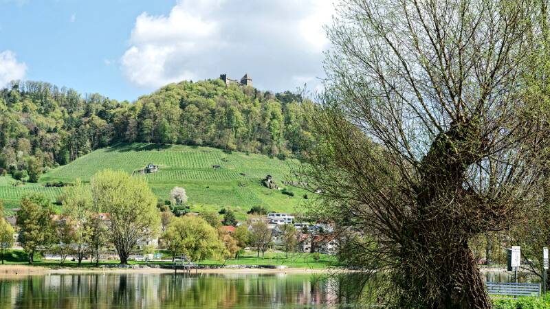 260416-rundwanderung-stein-am-rhein-01804x_03_ek_sbtl2
