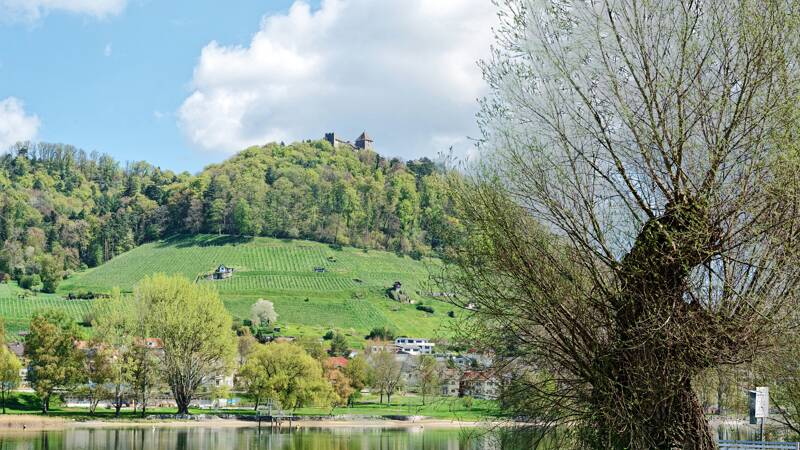 260416-rundwanderung-stein-am-rhein-01804x_5x_6x
