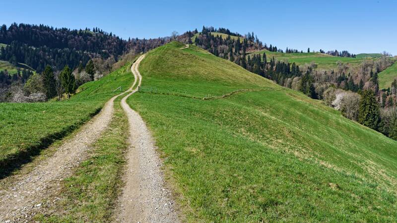 Hinauf zum höchsten Punkt der Wanderung.