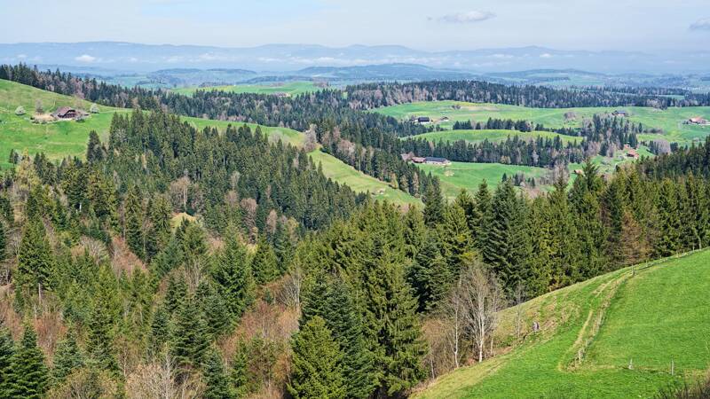 260411-rundwanderung-ab-luthern-01717x_8x_9x