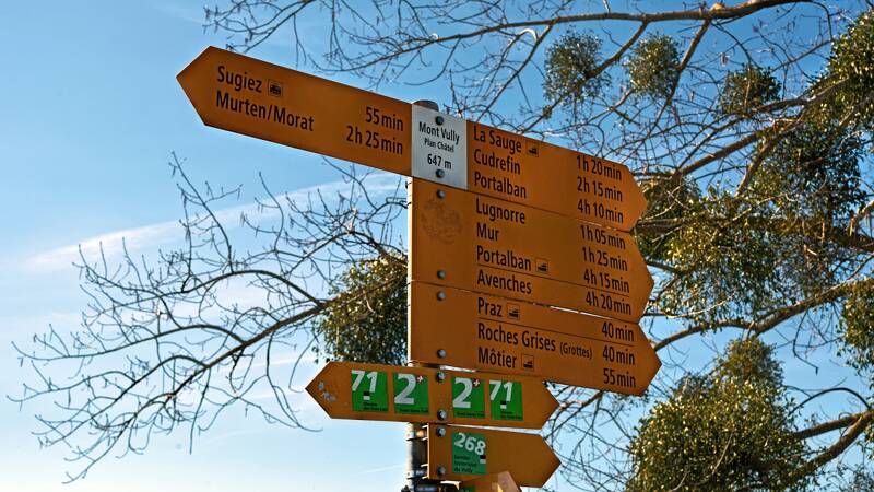 260405-mont-vully-01597x_8x_9x