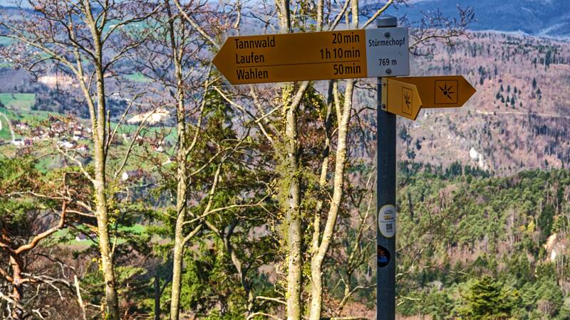 260402-stuermechopf-in-basel-landschaft-01501x_2x_3x