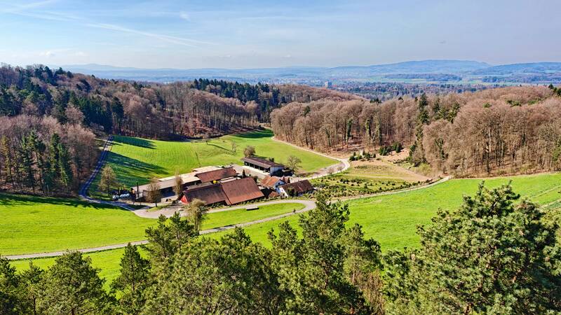 260328-aussichtsturm-petersboden-20260328100751x