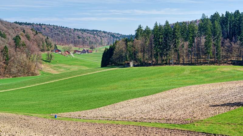 Wattwilerhof ist bereits in Kt. Zürich