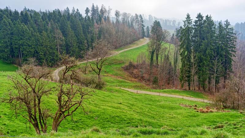 260322-burgruine-schauenbergl-01462x_3x_4x