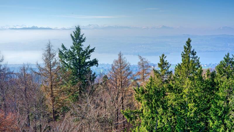 260319-Hochwacht-Pfannenstiel-01423x_4x_5x