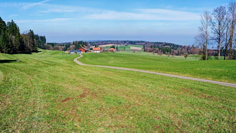 260319-Hochwacht-Pfannenstiel-01441x_2x_3x