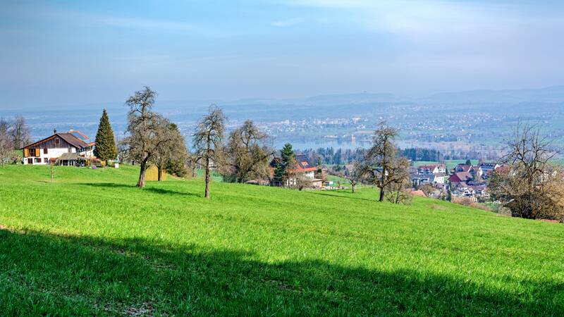 260319-Hochwacht-Pfannenstiel-01450x_1x_2x