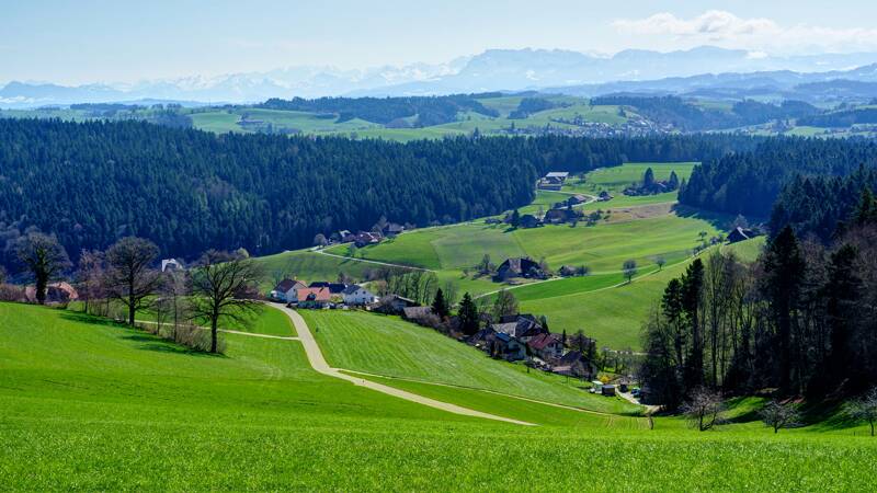 Blick Richtung Reisiswil