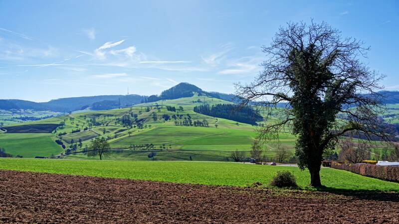 Bewaldeter Hügel von Laubberg und die Antenne von Geissberg in der