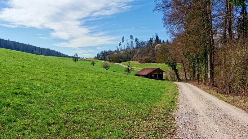260313-wanderung-mettau-sennhof-01342x_3x_4x