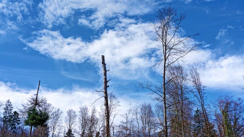 260313-wanderung-mettau-sennhof-01348x_49x_50x