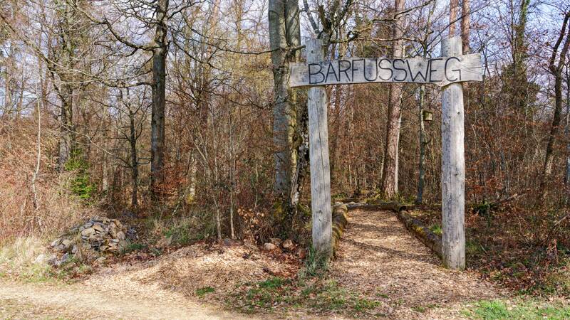 260313-wanderung-mettau-sennhof-01351x_2x_3x