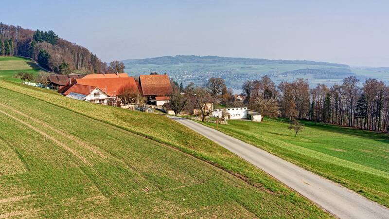 260307-Hochwacht-Homberg-eine-wanderung-bei-hallwilersee-01282x_3x_4x
