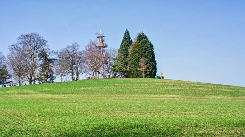 260307-Hochwacht-Homberg-eine-wanderung-bei-hallwilersee-01309x_10x_11x