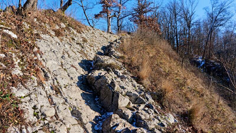 260104-Baden-Laegern-Dielsdorf-01117x_8x_9x