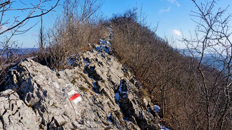 260104-Baden-Laegern-Dielsdorf-01123x_4x_5x