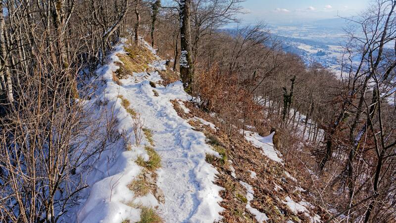 260104-Baden-Laegern-Dielsdorf-01162x_3x_4x