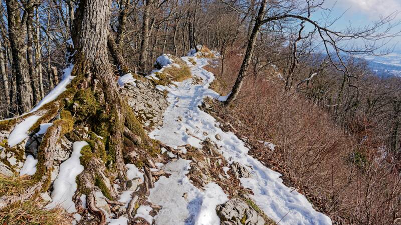 260104-Baden-Laegern-Dielsdorf-01168x_69x_70x